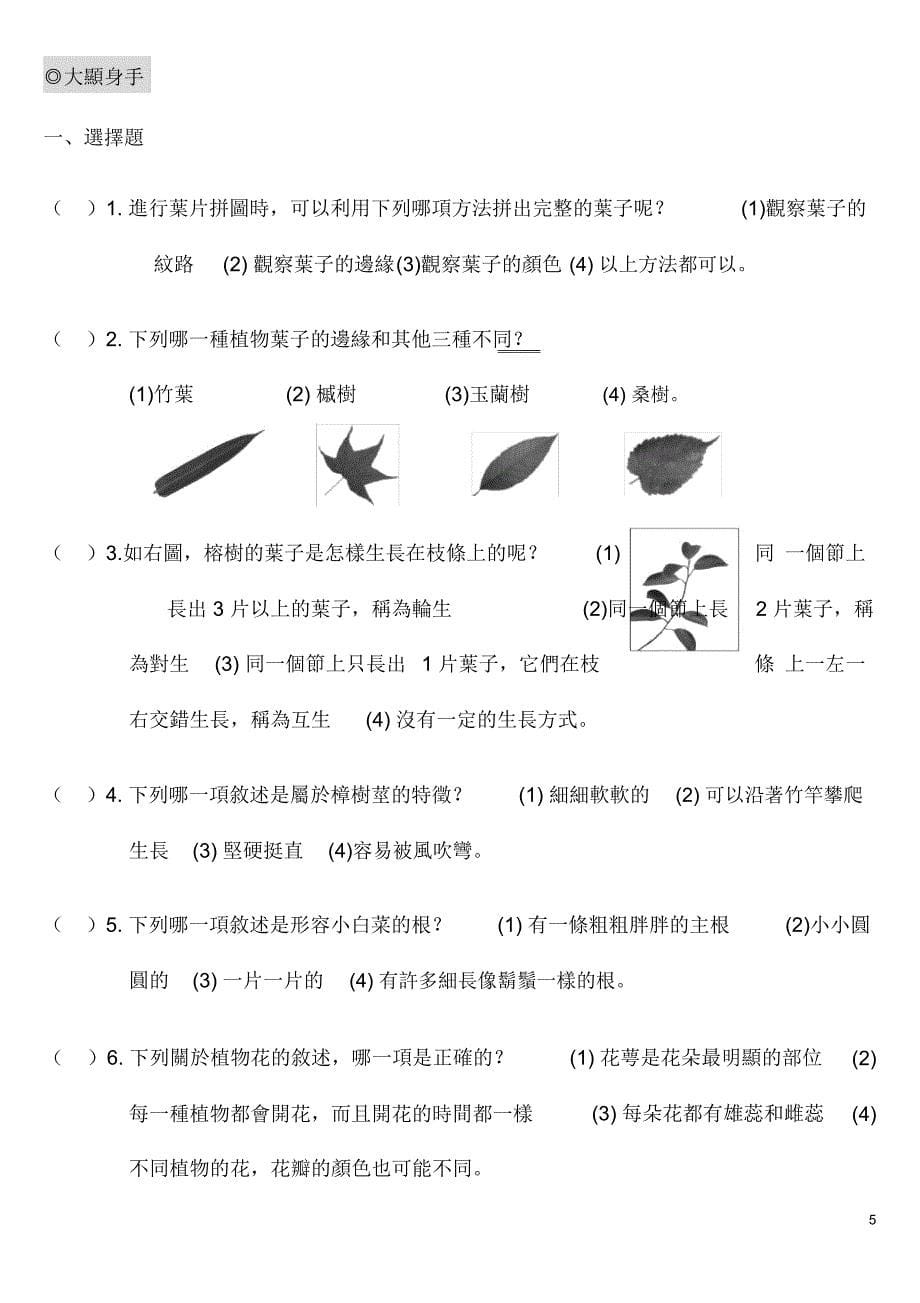 上植物的身体KB_第5页