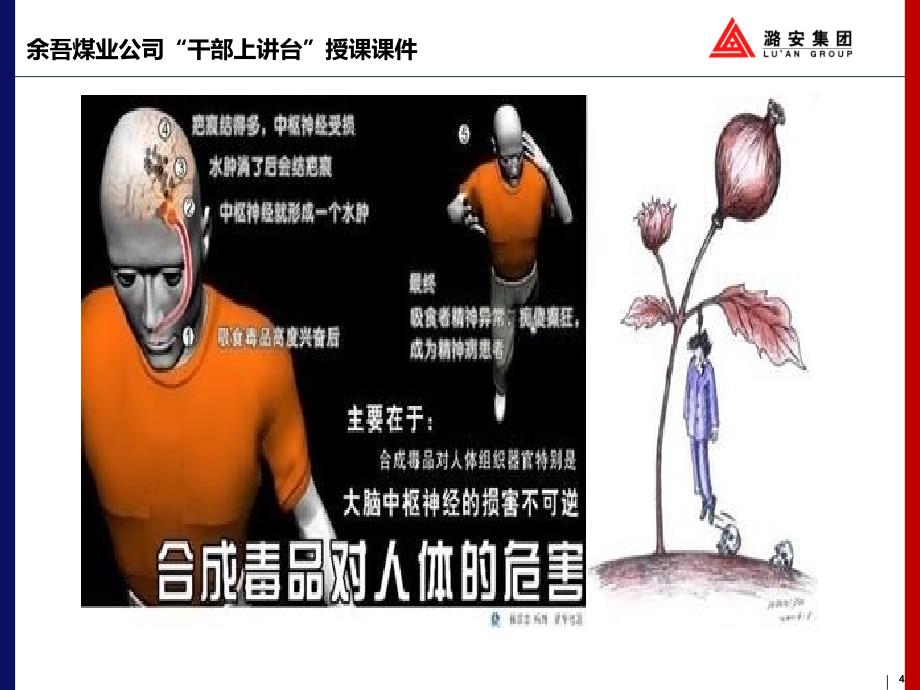 吸毒的危害性_第4页