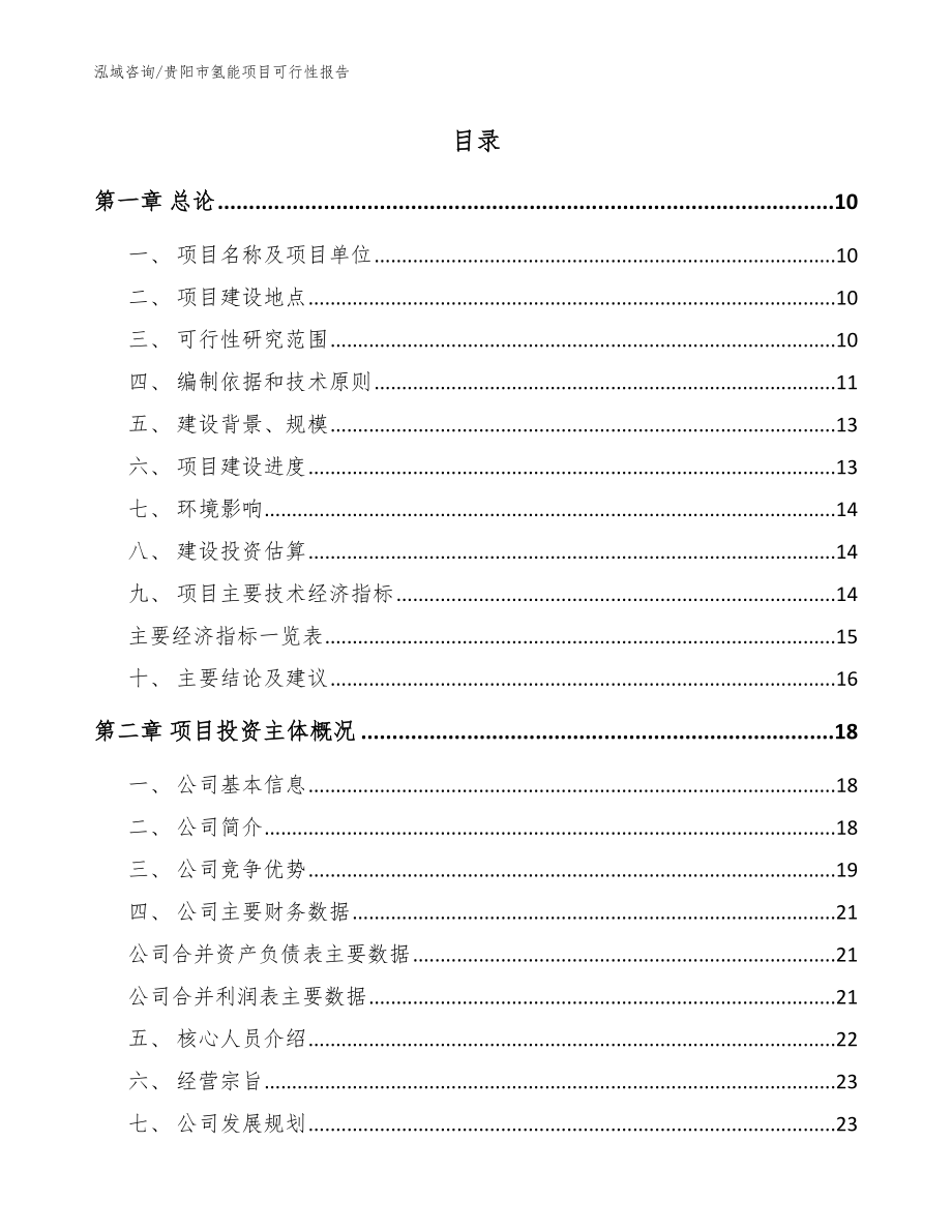 贵阳市氢能项目可行性报告（范文）_第2页