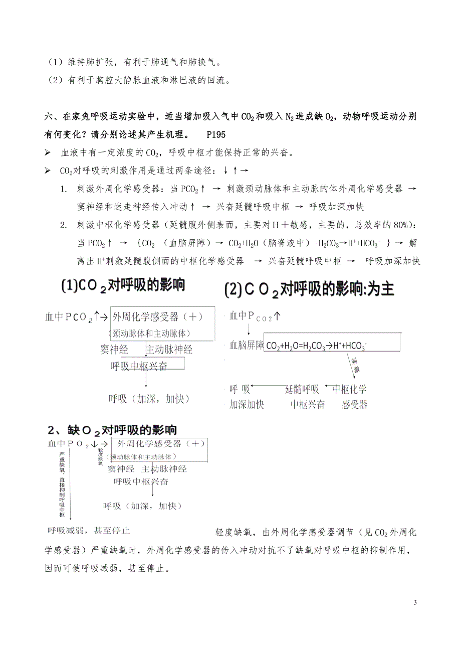 第六章呼吸系统(药学方向)_第3页