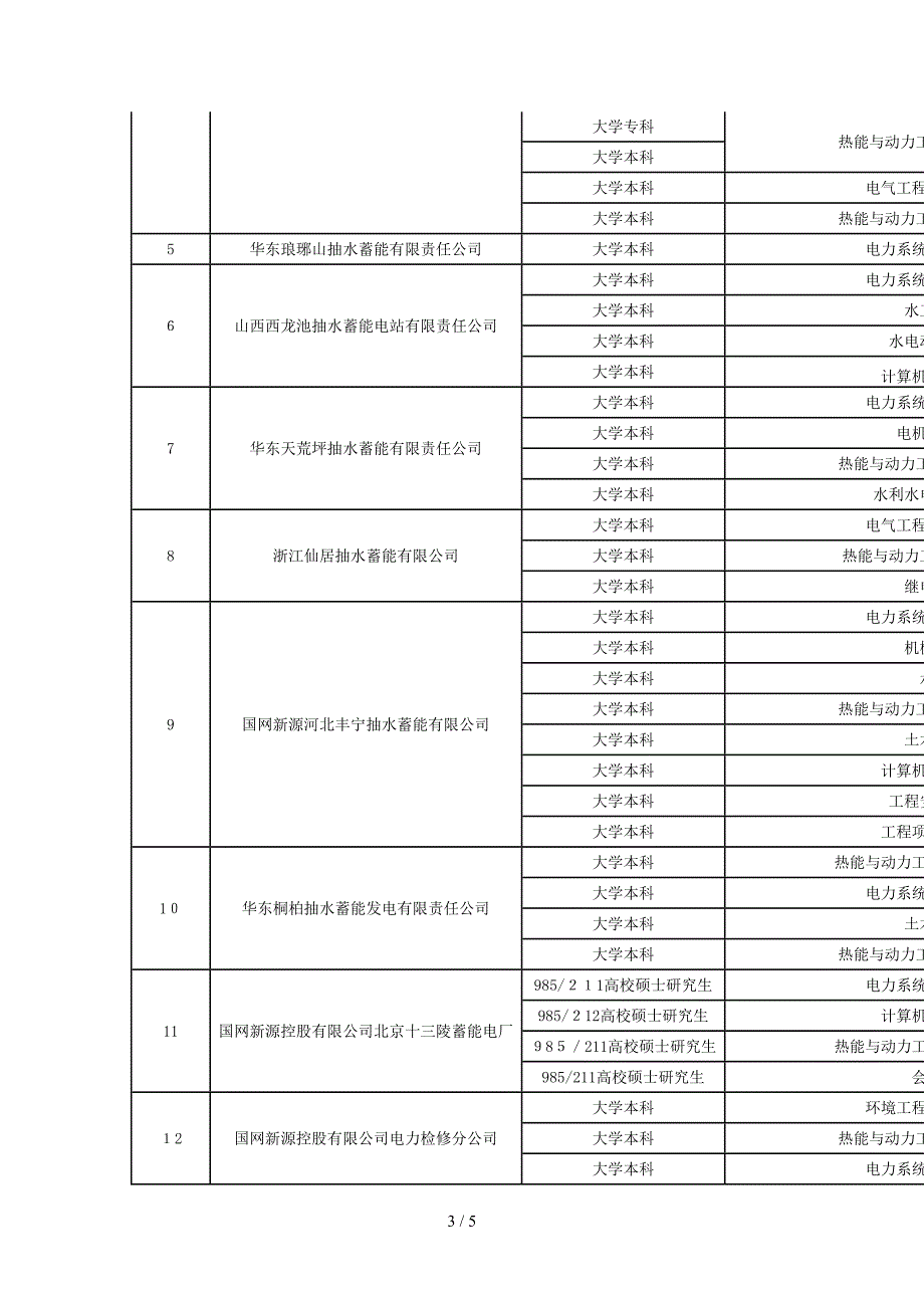 国网新源控股有限公司_第3页