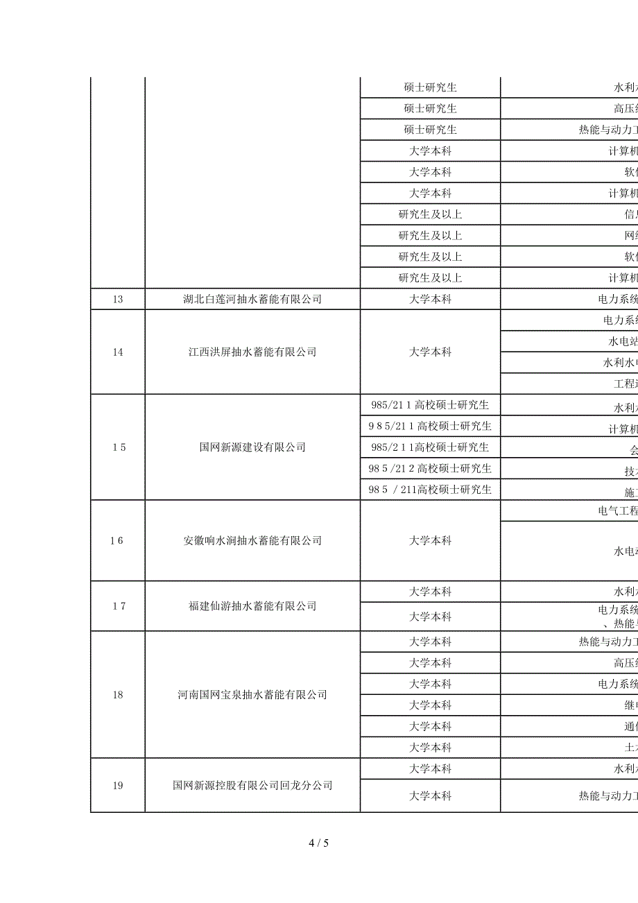 国网新源控股有限公司_第4页