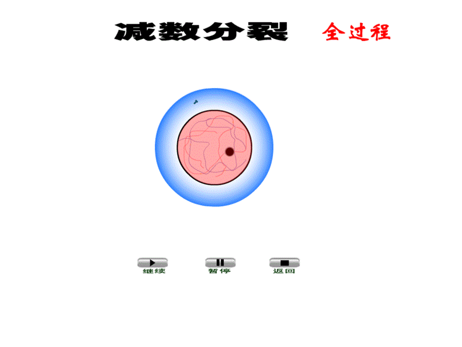 有丝分裂与减数分裂过程中染色体行为变化_第3页