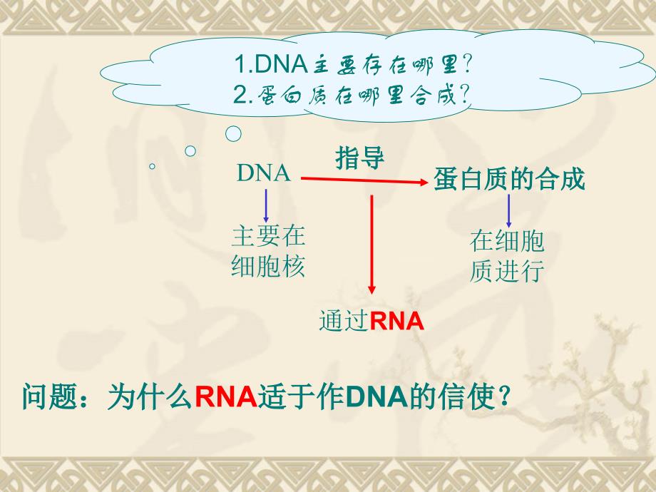 基因指导蛋白质的合成全面版课件_第4页