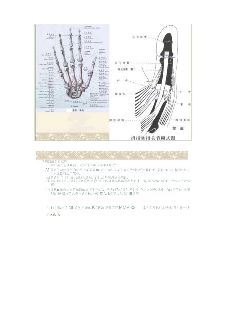 屈指肌狭窄性腱鞘炎解读_第2页