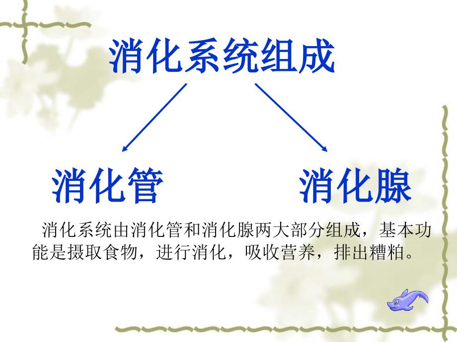 第二章医学基础知识_第4页