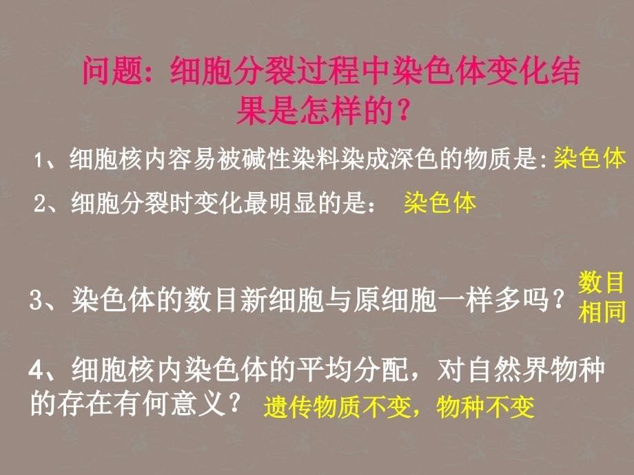 七年级生物上册5.2细胞分化形成组织课件冀教版PPT文档_第5页