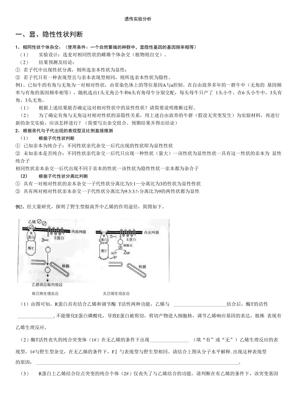 遗传实验分析_第1页