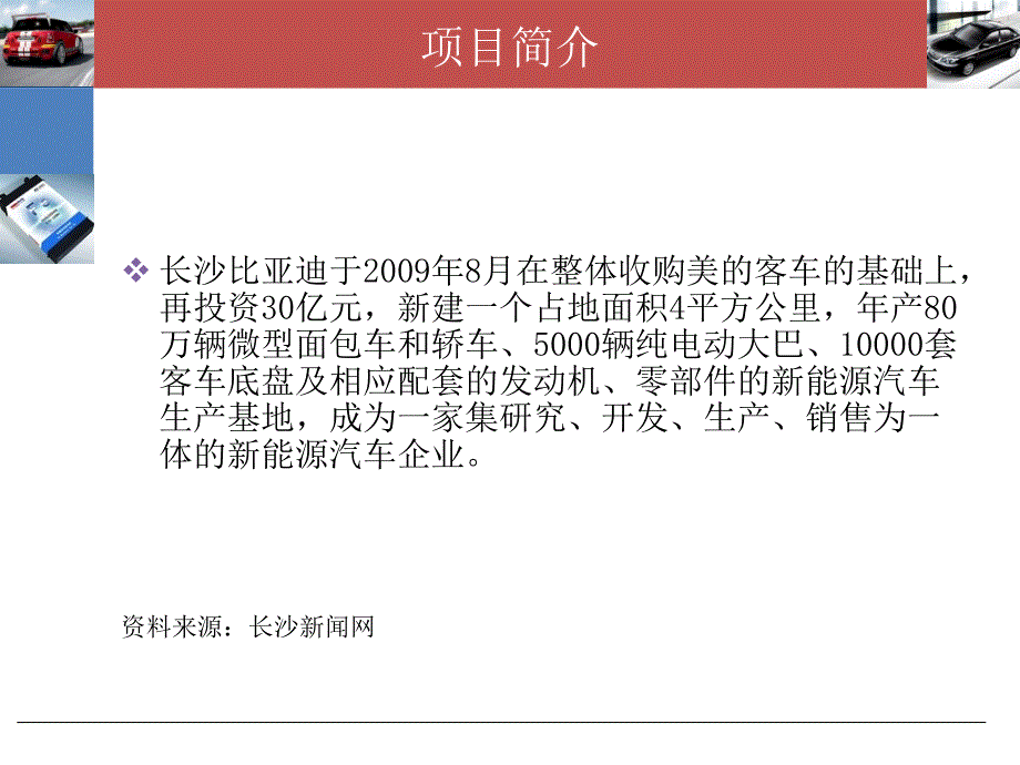 比亚迪风险分析课件_第3页