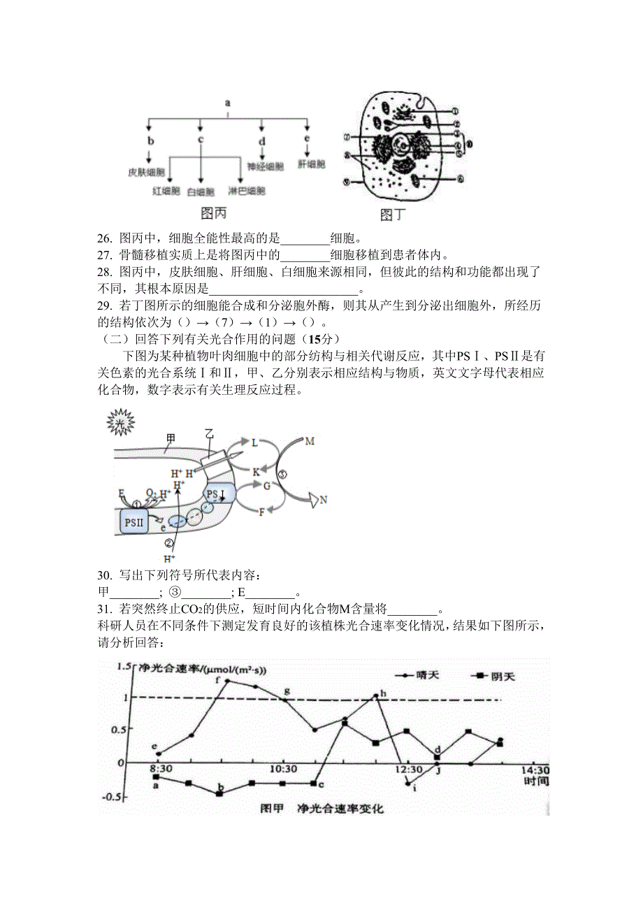 2017上海市徐汇区高三二模生物试题及答案.doc_第4页