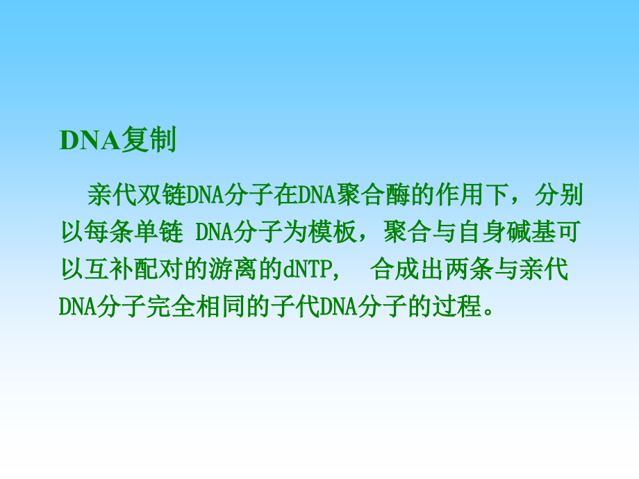 生物化学：第三十四章 DNA复制_第3页