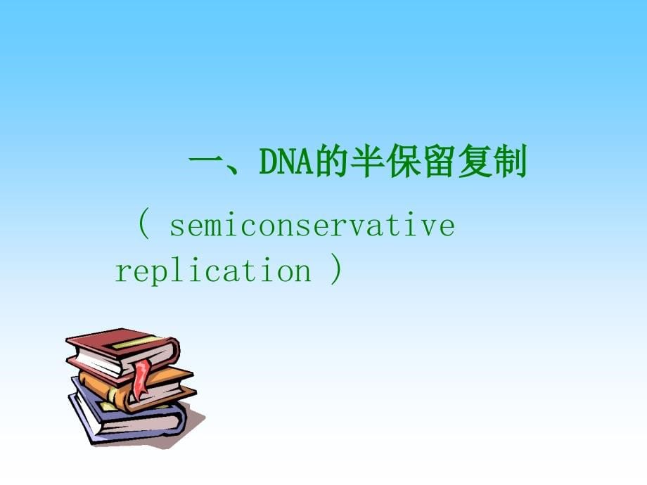 生物化学：第三十四章 DNA复制_第5页