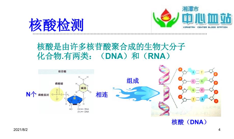 核酸检测中的标本留取幻灯片_第4页