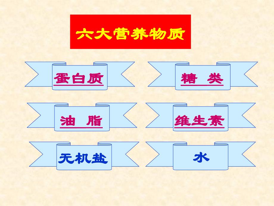 人类重要的营养物质PPT_第4页