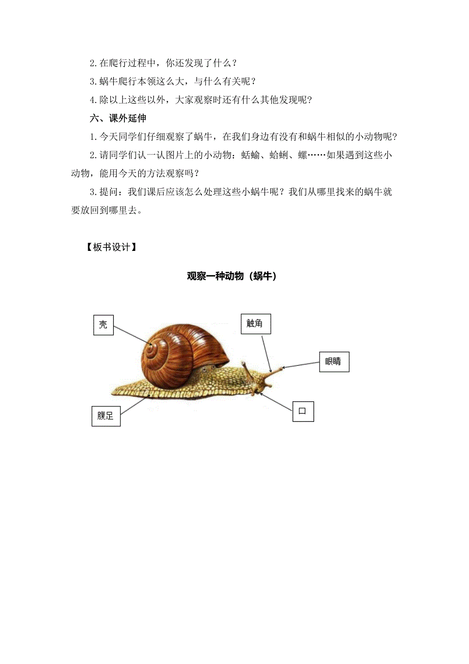 《观察一种动物》教学设计[23].docx_第3页