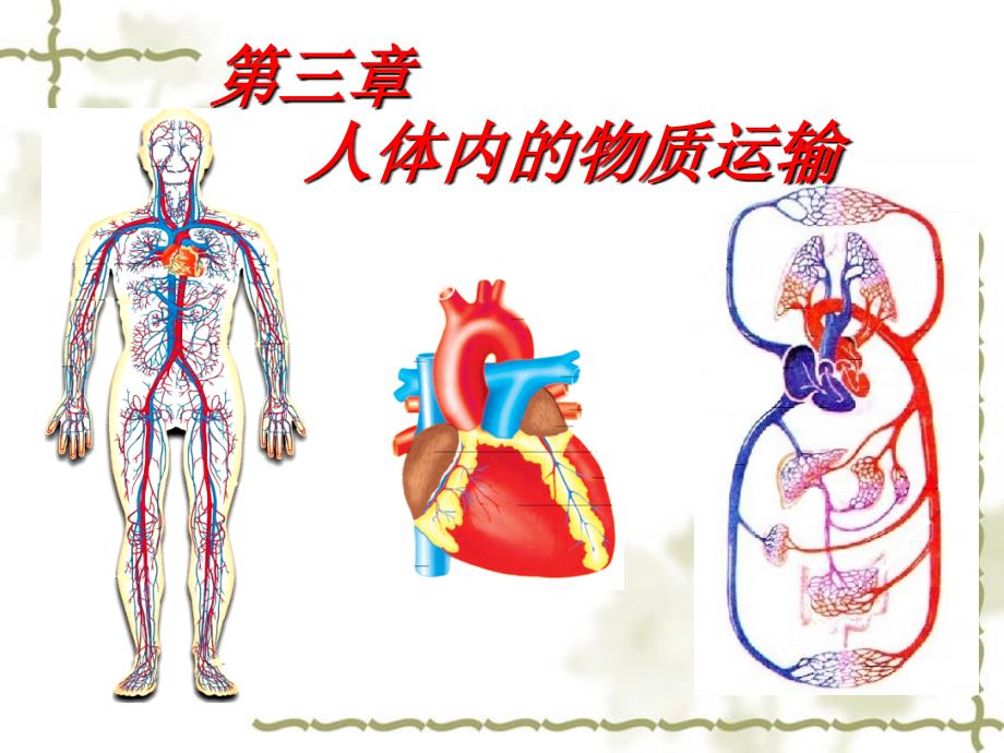 生物：人体内的物质运输复习课件济南版七年级下.ppt_第1页