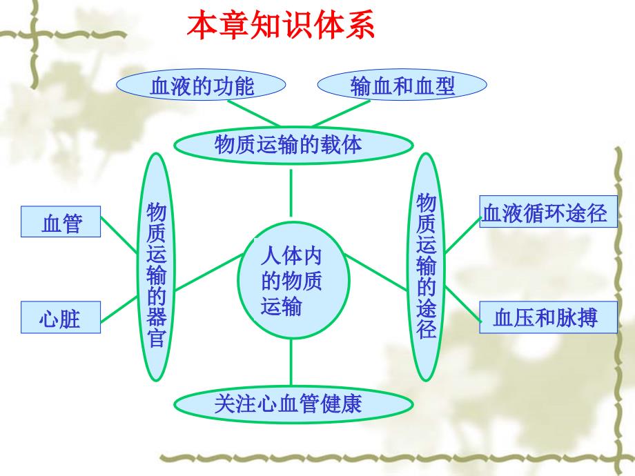 生物：人体内的物质运输复习课件济南版七年级下.ppt_第3页