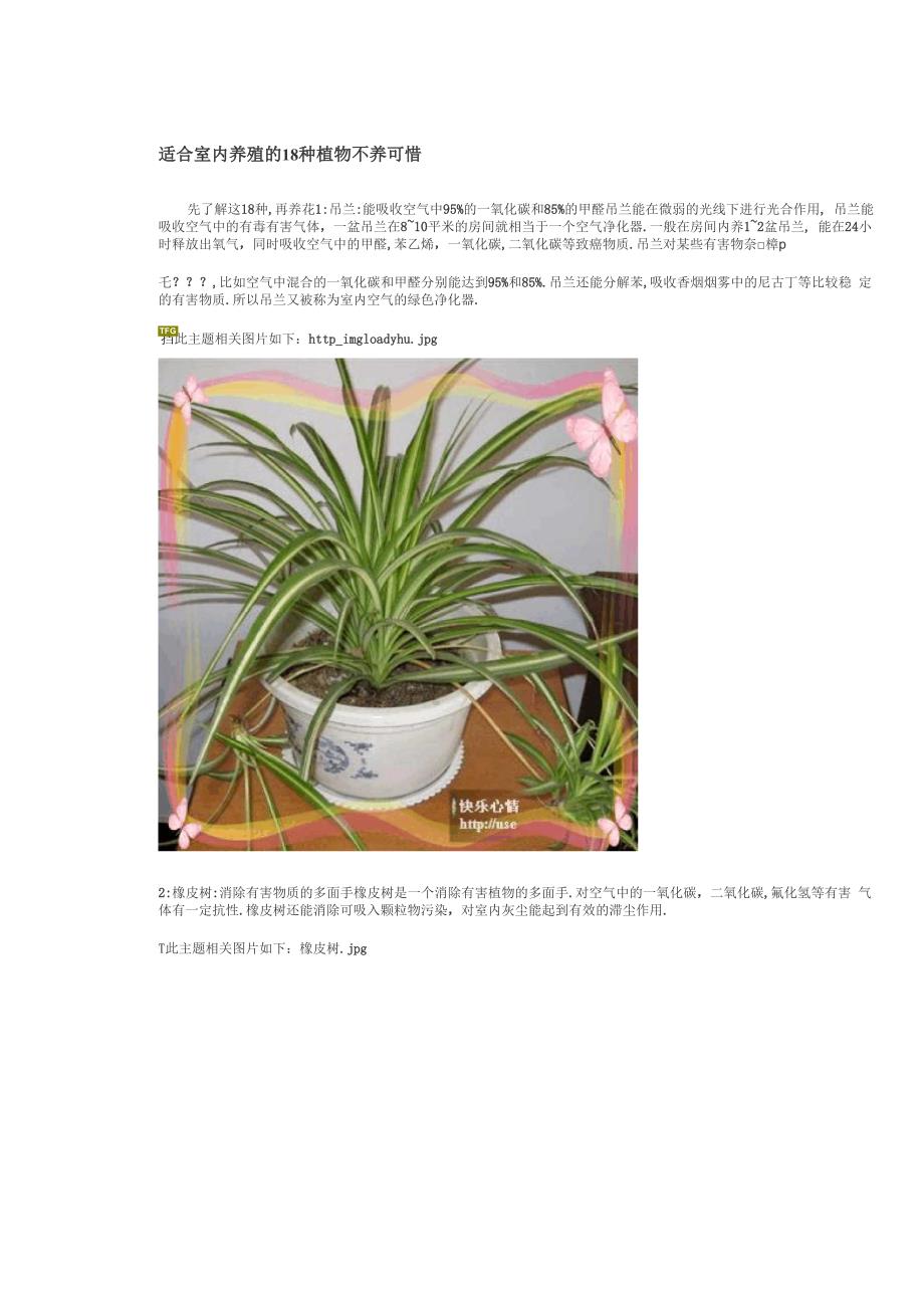 适合室内养殖的18种植物不养可惜_第1页