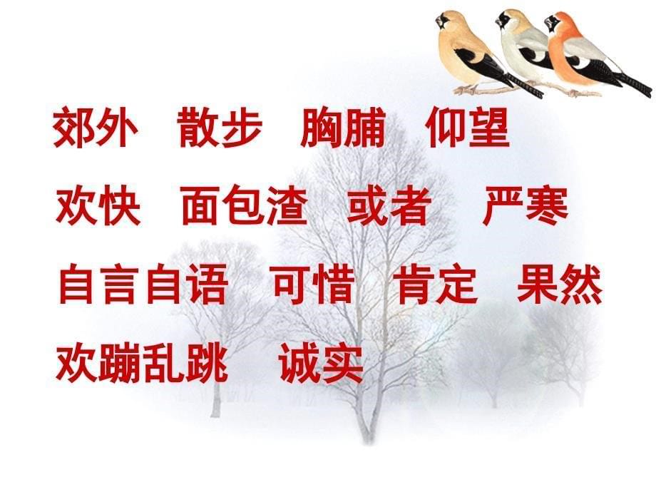 山东省滨州市滨城区第二小学毕建平PPT课件_第5页