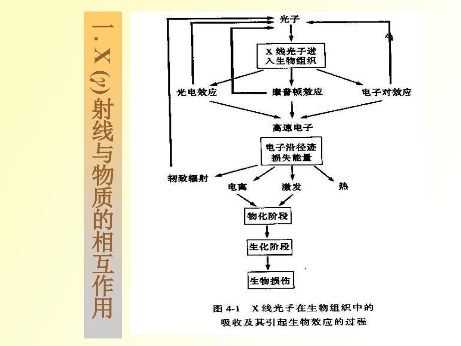 辐射与物质的相互作用_第3页