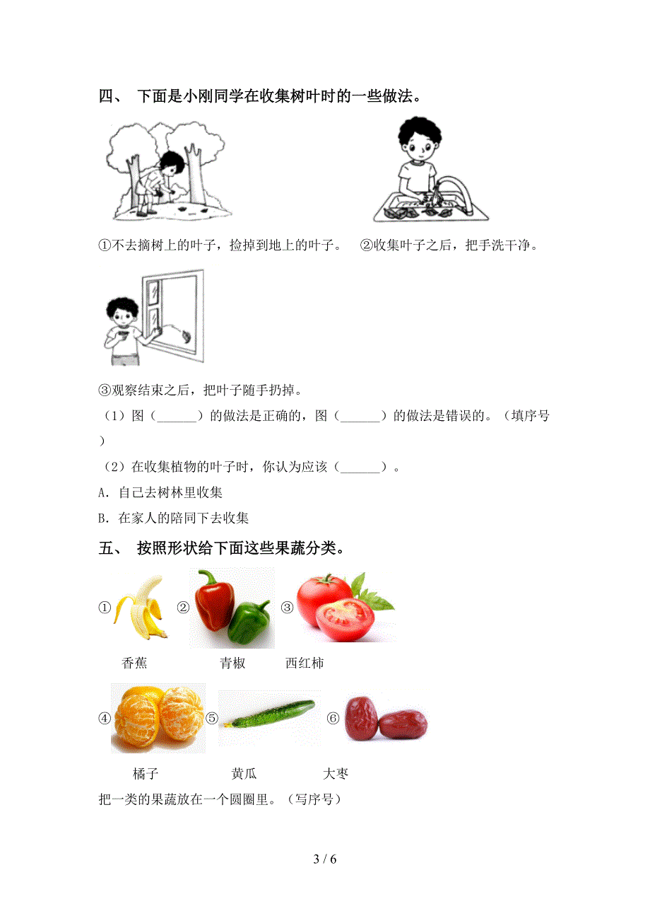 小学一年级科学上册期中试卷及答案【真题】.doc_第3页