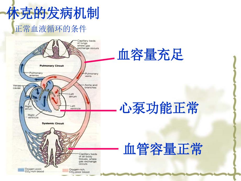 休克的分类及抢救_第4页