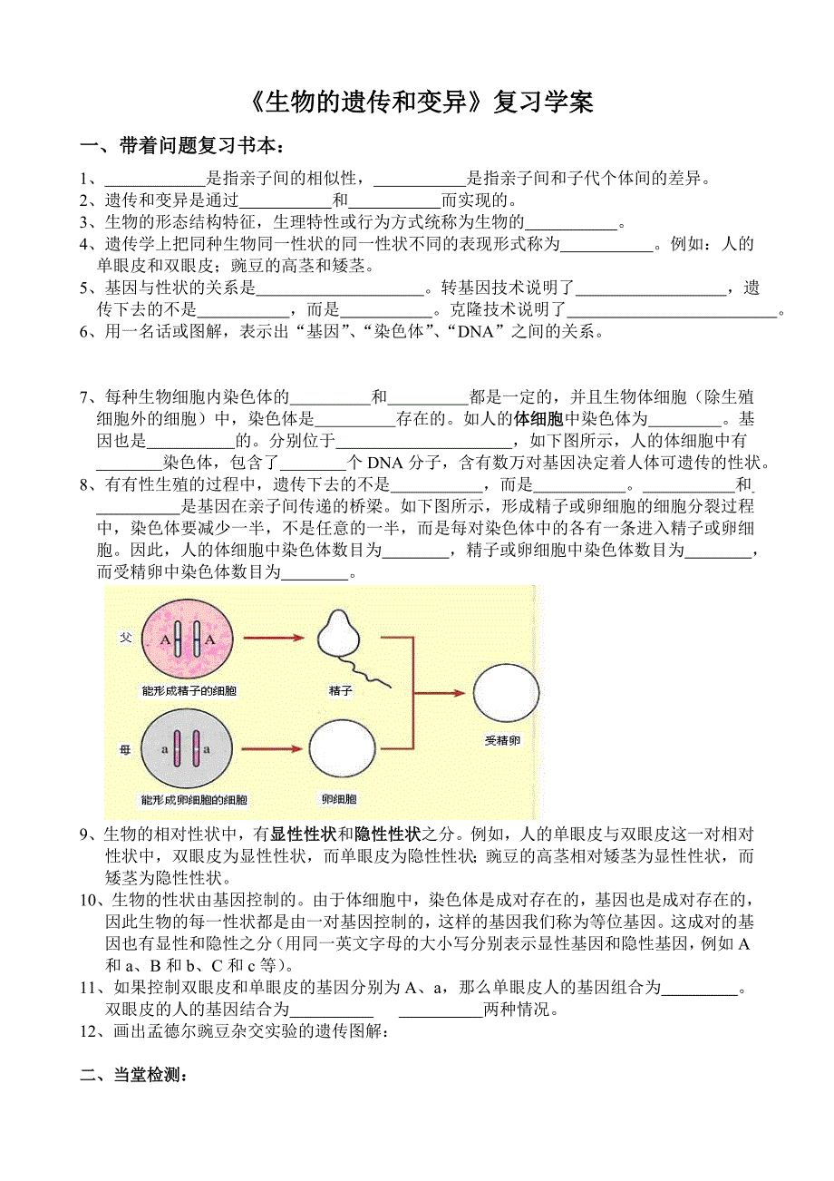 生物的遗传和变异_第1页