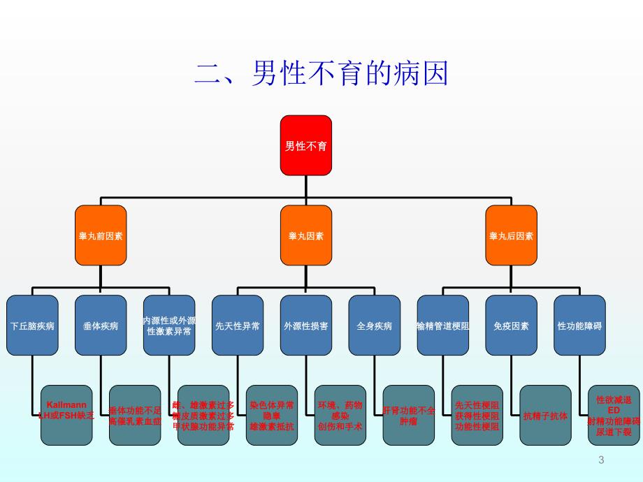 精浆生化检测与男性不育ppt课件_第3页