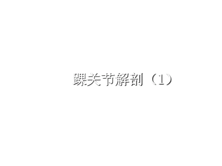 踝关节解剖基础_第1页