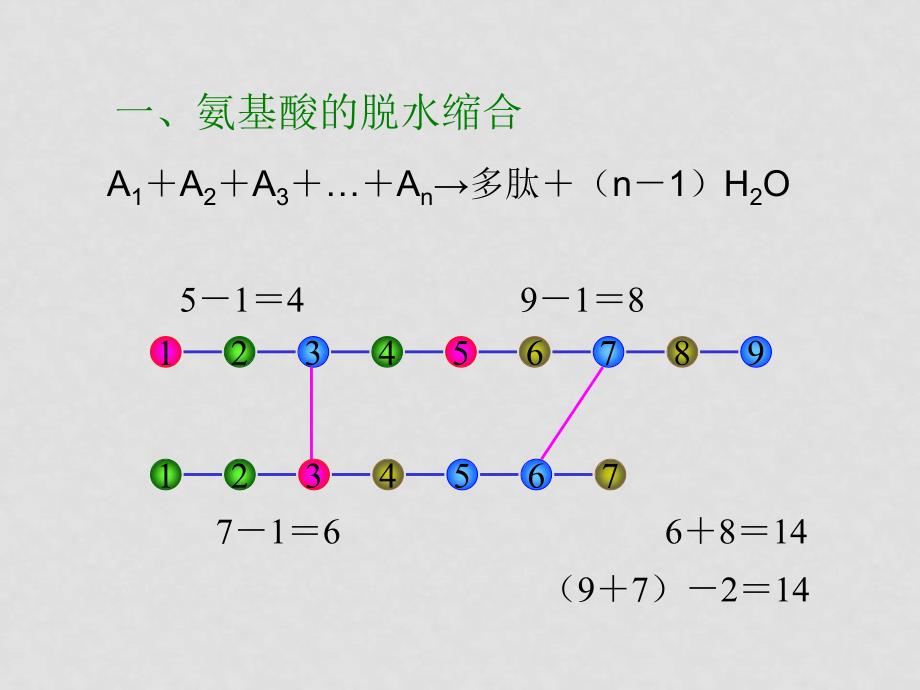 高中生物高考突破小专题课件8：计算专题人教版_第2页