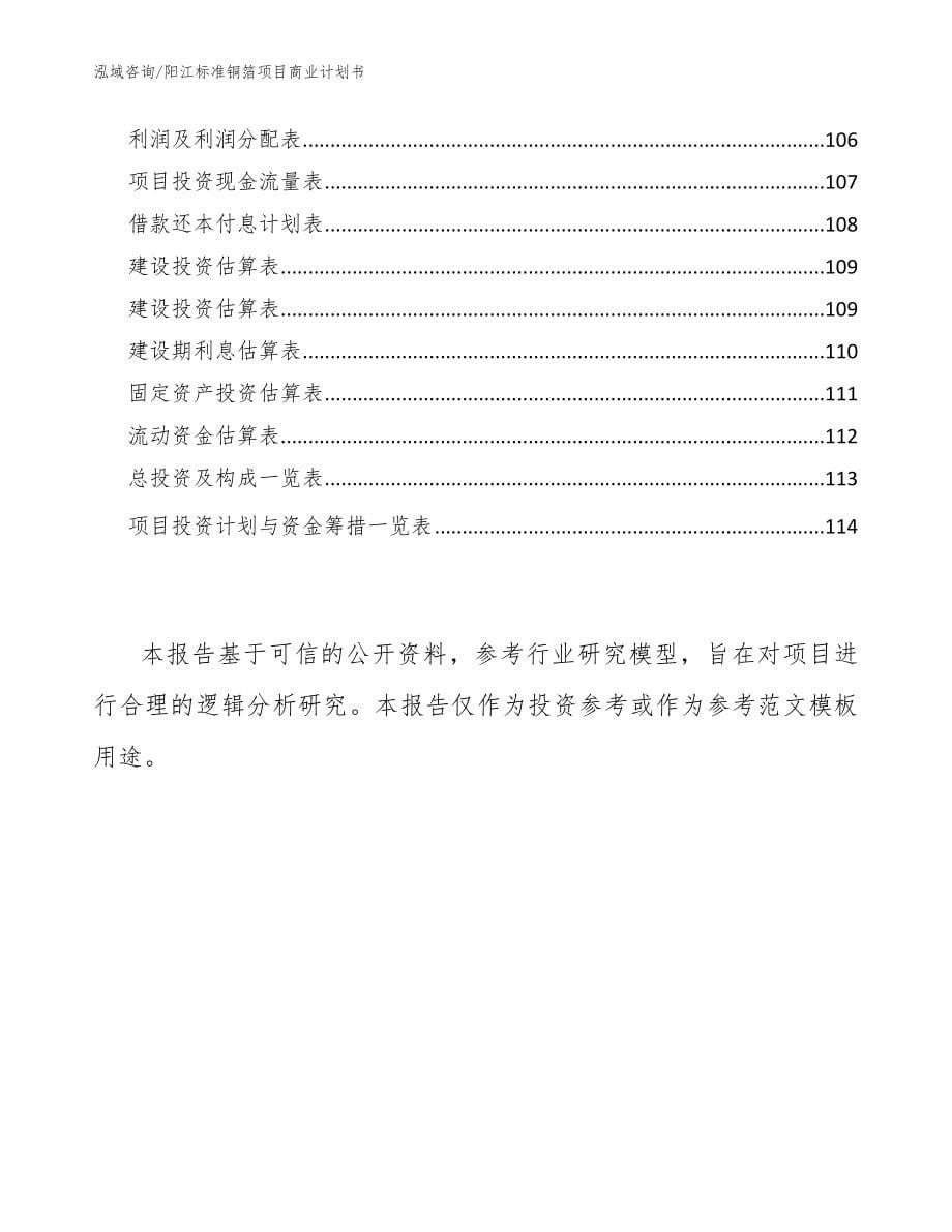 阳江标准铜箔项目商业计划书【模板参考】_第5页