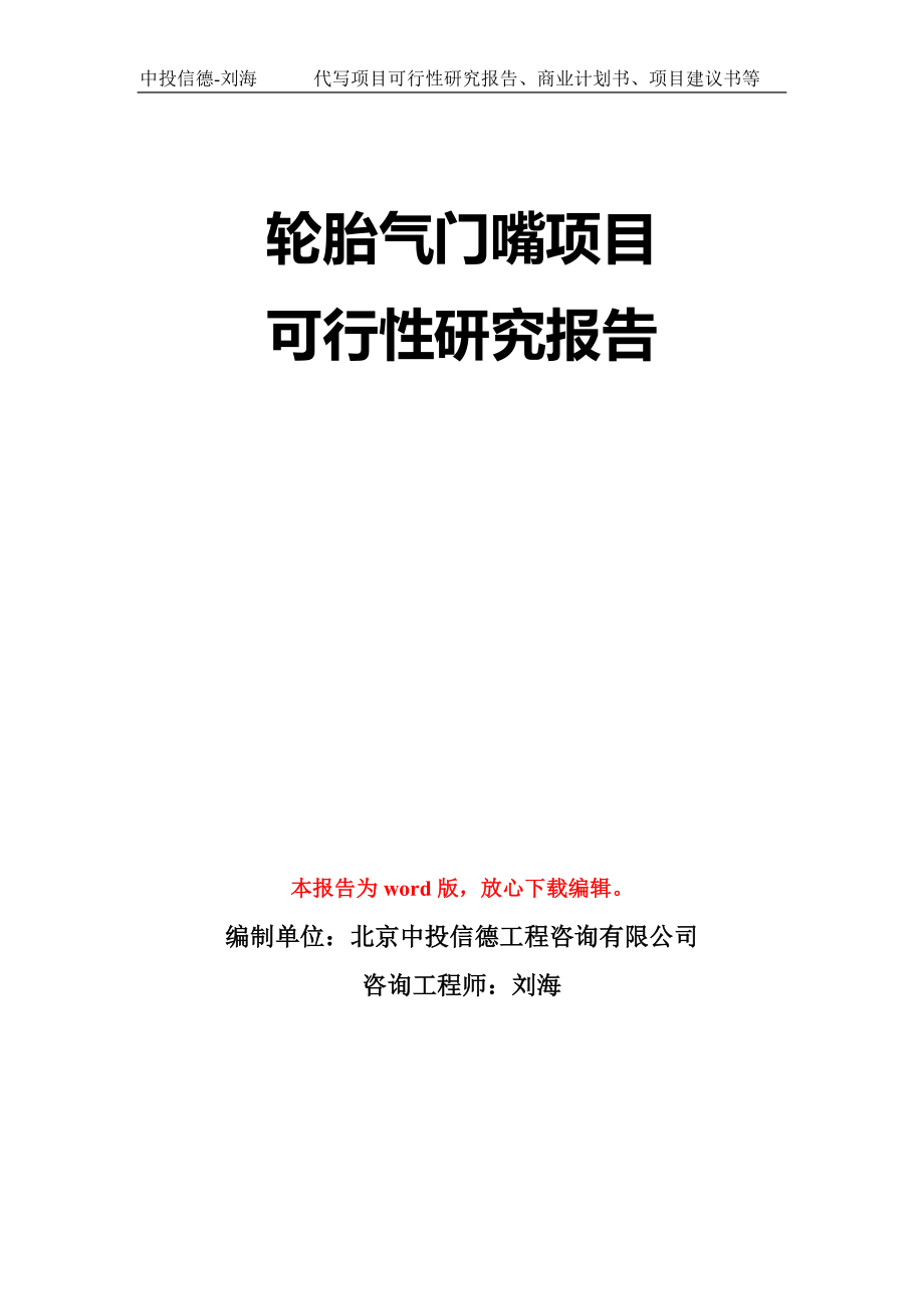 轮胎气门嘴项目可行性研究报告模板-立项备案拿地_第1页