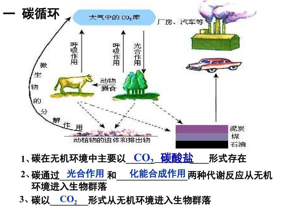 新萝卜家园复习_第5页