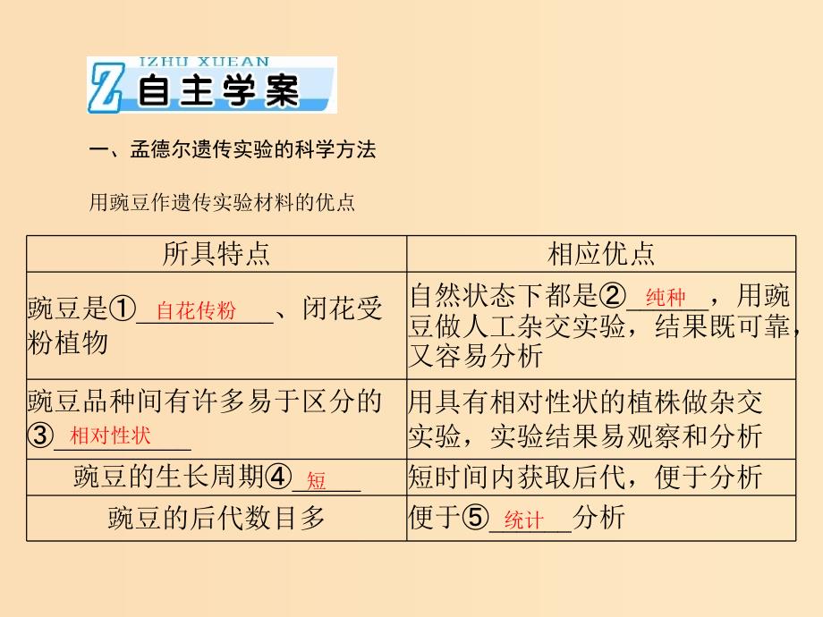 2019版高考生物一轮总复习 第1章 遗传因子的发现 第1节 孟德尔的豌豆杂交实验（一）课件 必修2.ppt_第4页