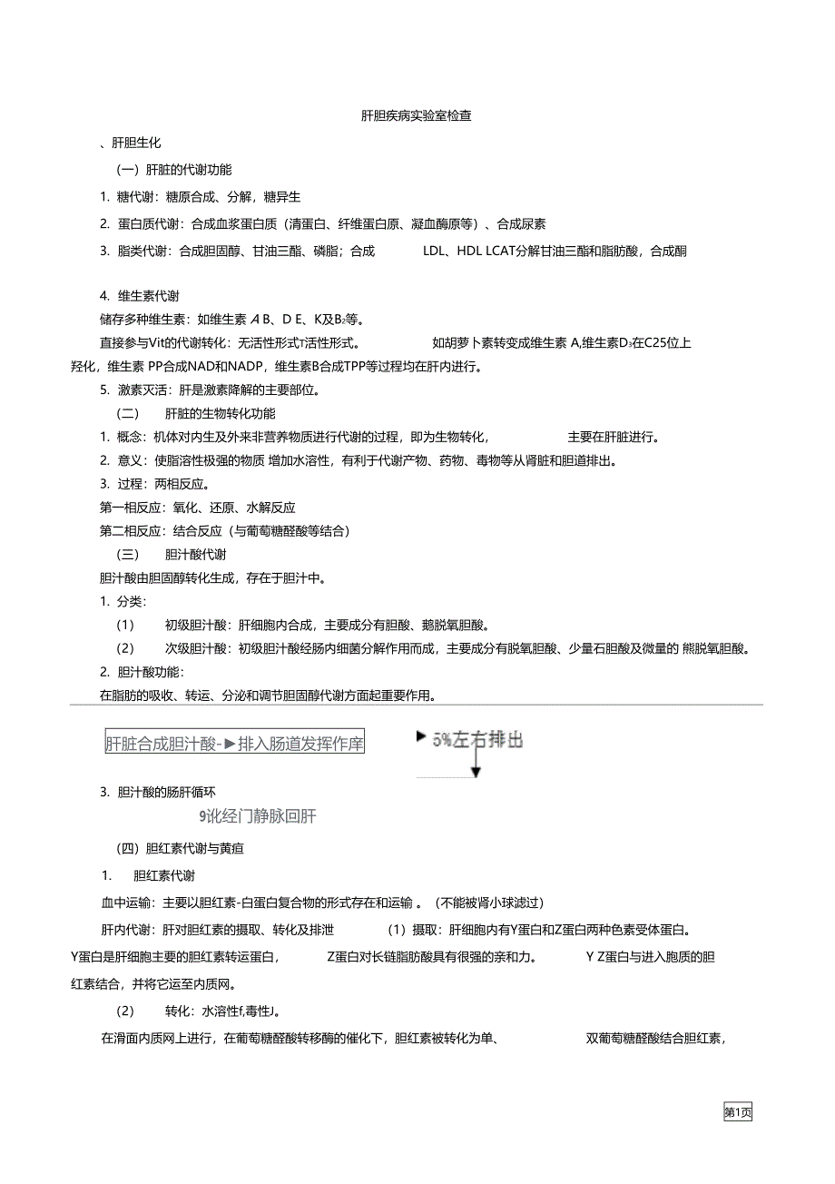 肝胆疾病试验室检查_第1页