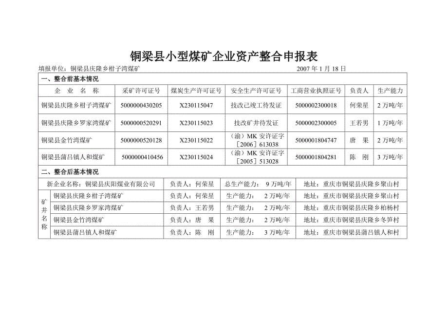 煤矿企业资产整合申报表_第5页