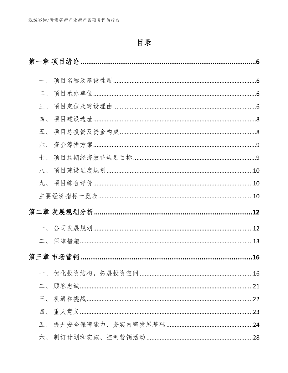 青海省新产业新产品项目评估报告【范文】_第1页