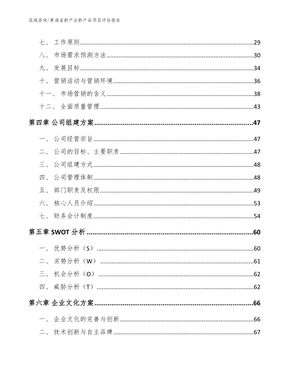 青海省新产业新产品项目评估报告【范文】_第2页