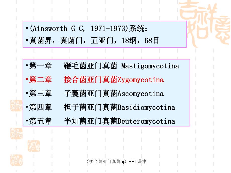 接合菌亚门真菌aj课件_第1页