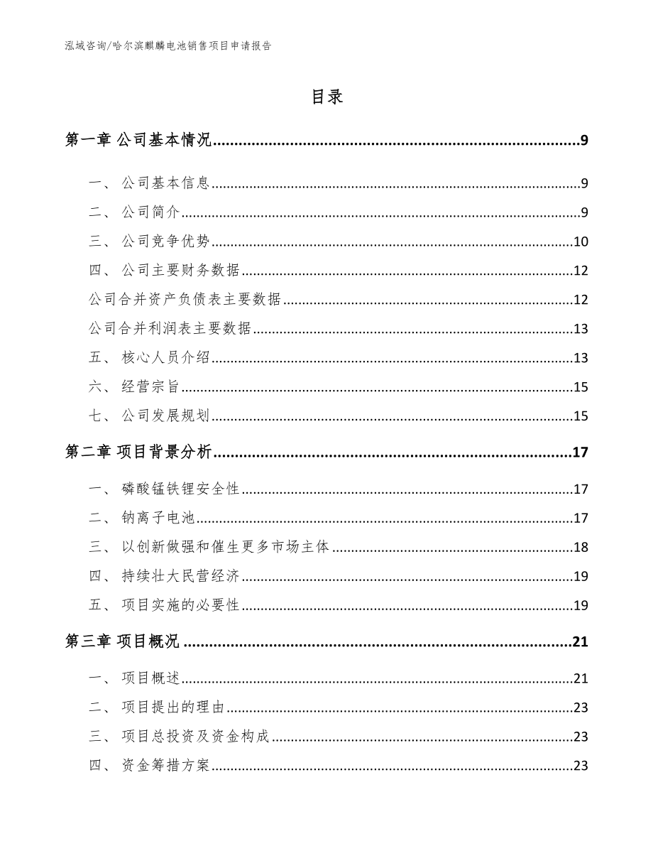 哈尔滨麒麟电池销售项目申请报告模板范本_第2页