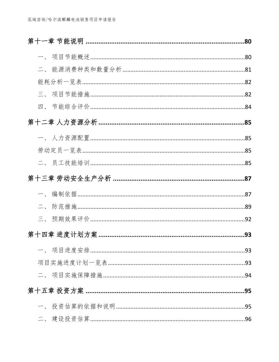 哈尔滨麒麟电池销售项目申请报告模板范本_第5页