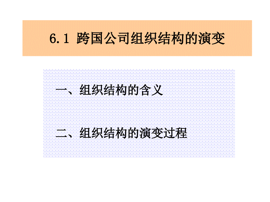 《跨国公司管理》课件：第6章 跨国组织管理_第2页