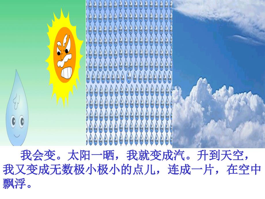 我是什么教学课件12_第4页