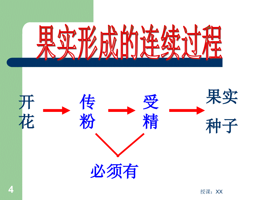 1.2传粉和受精1课堂PPT_第4页