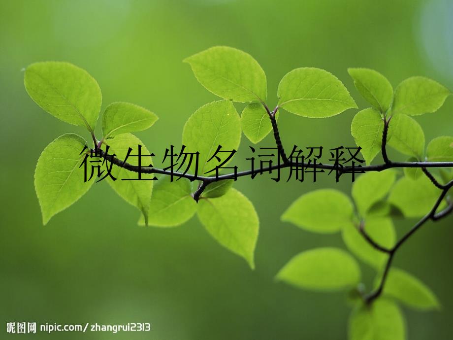 微生物名词解释_第1页