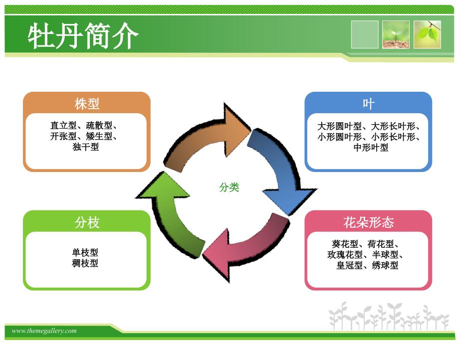 牡丹的药用价值_第4页