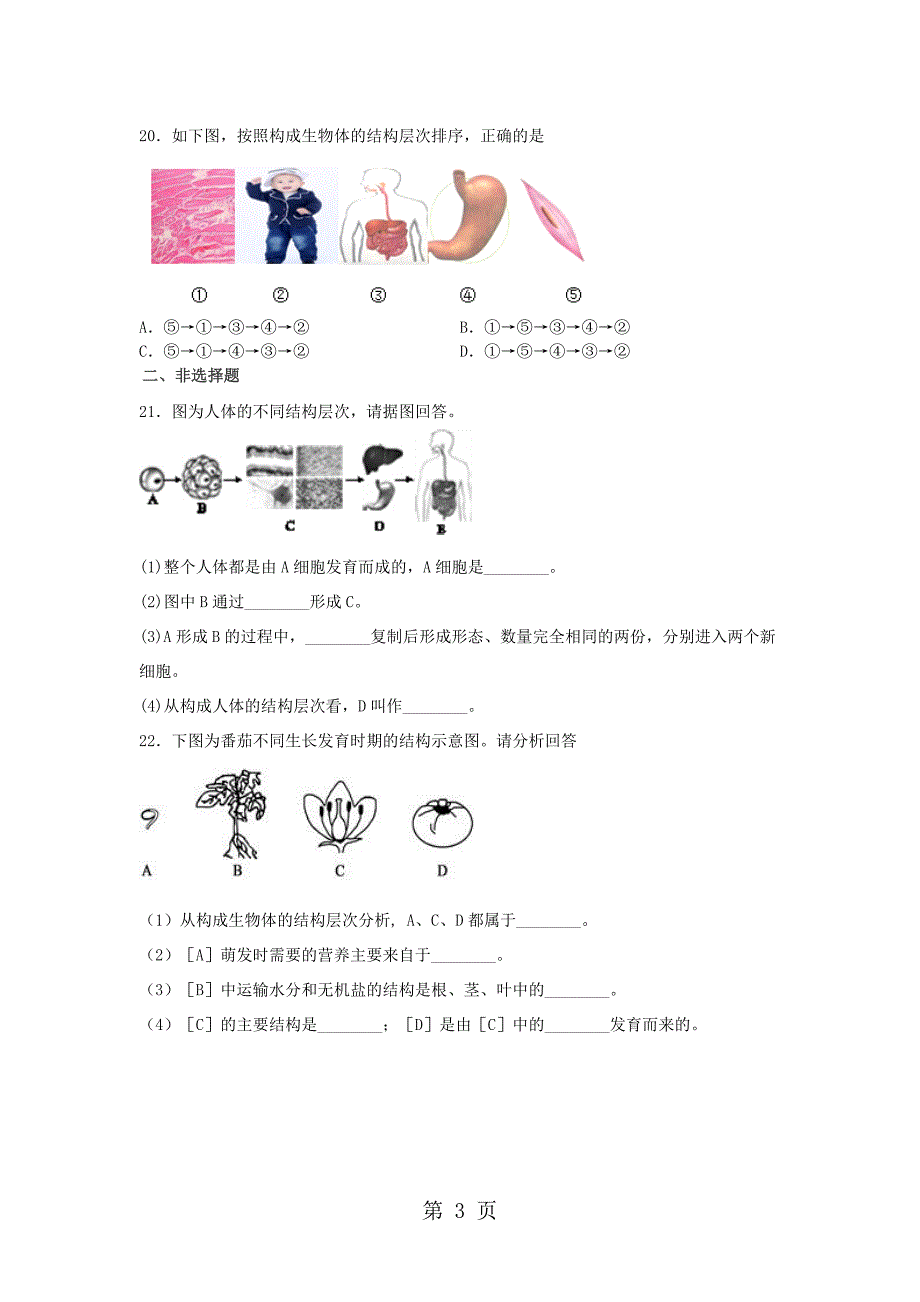 2023年度山东省滕州市鲍沟中学七年级生物上册第二章第节多细胞生物体的结构层次练习题无答案.doc_第3页