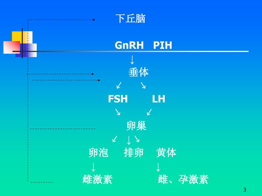 妇产科护理学_第3页