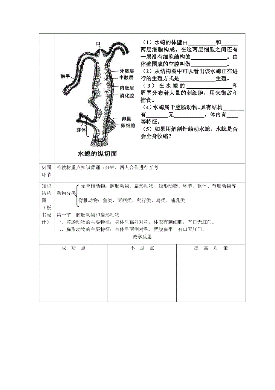 八年级生物上册第一章第一节腔肠动物和扁形动物教学案无答案新版新人教版_第4页