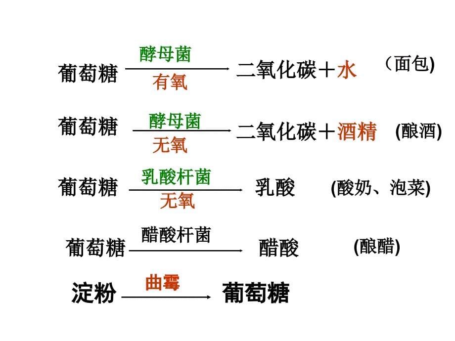 人类对细菌和真菌的利用课件_第5页